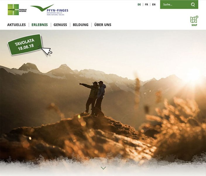 Webdesign und Entwicklung individueller Webseiten  - Professionelle Webagentur indual GmbH