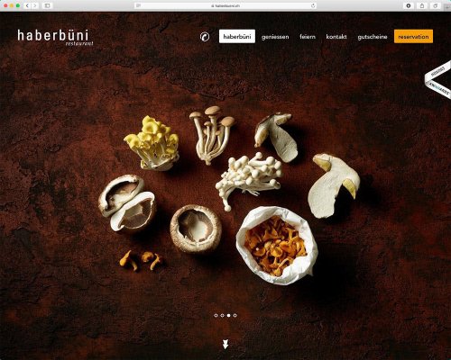 Referenz Webseite der indual GmbH, Webentwicklung und Hosting, Brig