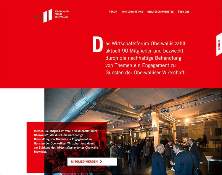 Webdesign und Entwicklung individueller Webseiten  - Professionelle Webagentur indual GmbH