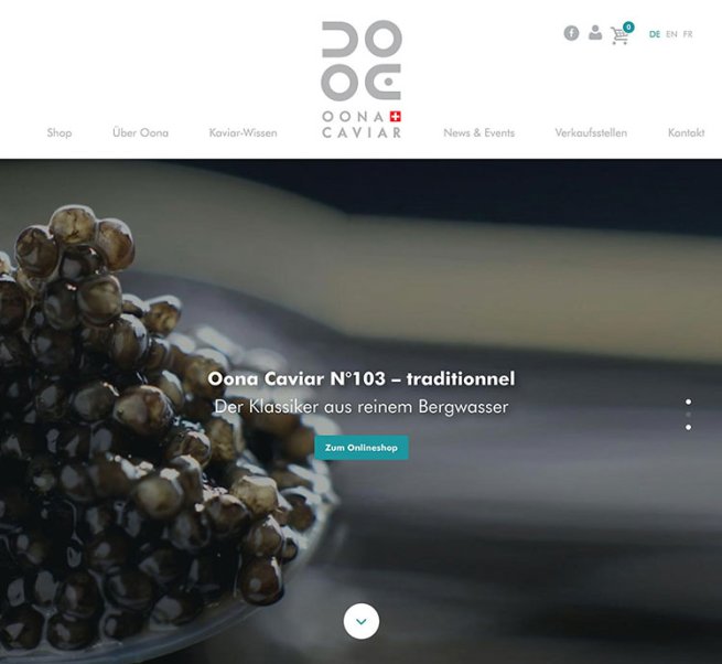 Webdesign und Entwicklung individueller Webseiten  - Professionelle Webagentur indual GmbH