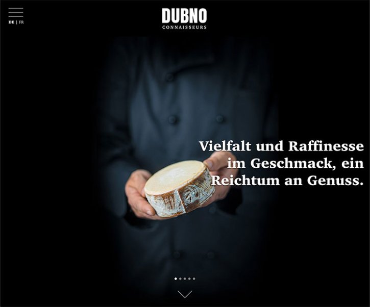 Webdesign und Entwicklung individueller Webseiten  - Professionelle Webagentur indual GmbH