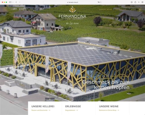 Referenz Webseite der indual GmbH, Webentwicklung und Hosting, Brig