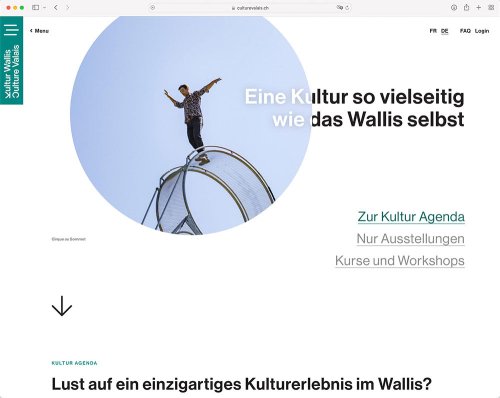 Referenz Webseite der indual GmbH, Webentwicklung und Hosting, Brig