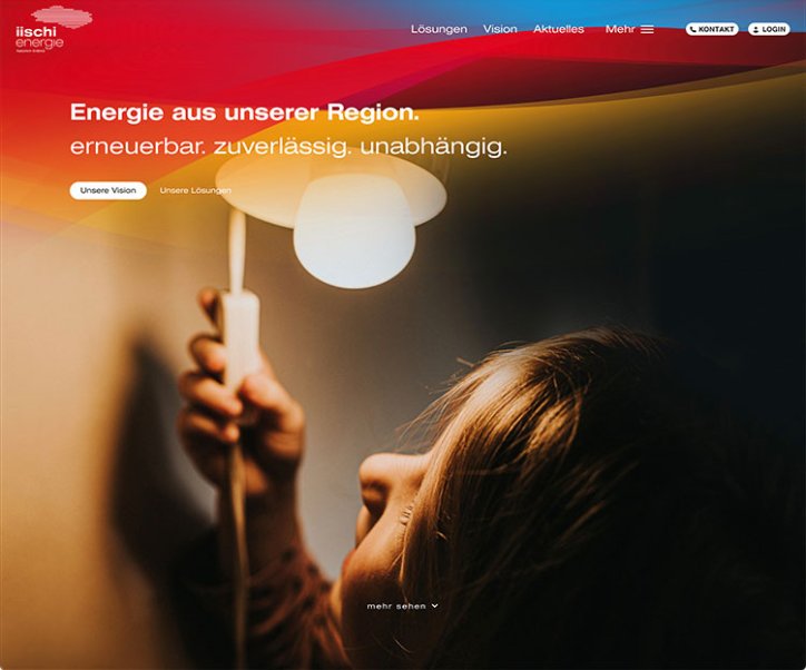 Webdesign und Entwicklung individueller Webseiten  - Professionelle Webagentur indual GmbH