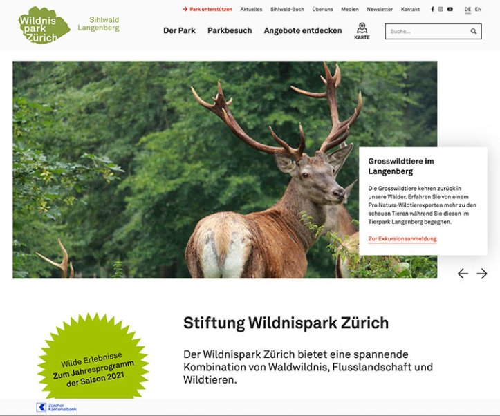 Webdesign und Entwicklung individueller Webseiten  - Professionelle Webagentur indual GmbH