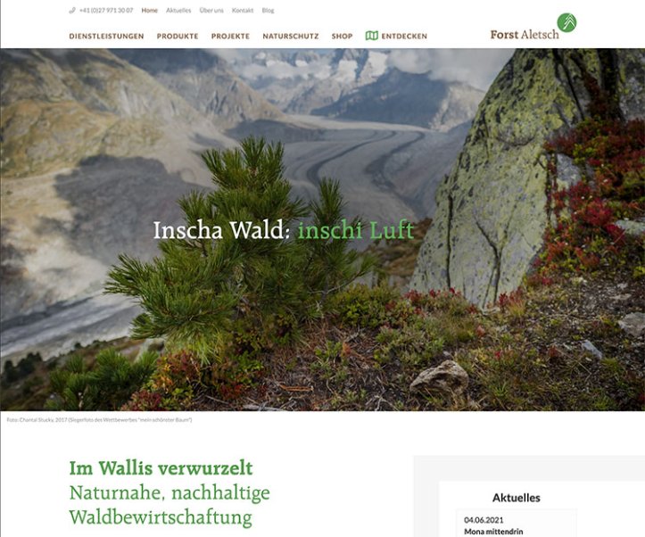 Webdesign und Entwicklung individueller Webseiten  - Professionelle Webagentur indual GmbH