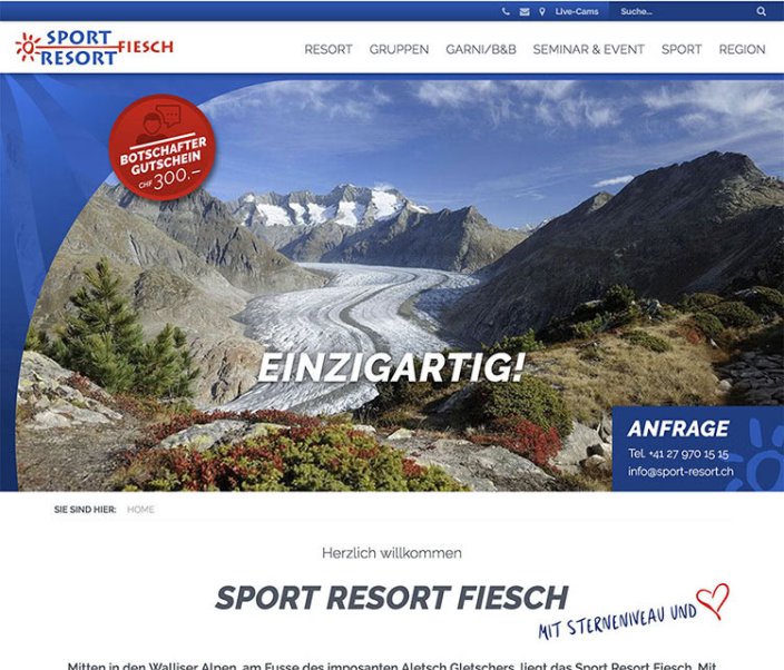 Webdesign und Entwicklung individueller Webseiten  - Professionelle Webagentur indual GmbH