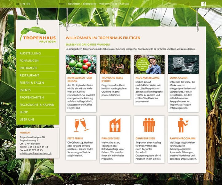 Webdesign und Entwicklung individueller Webseiten  - Professionelle Webagentur indual GmbH