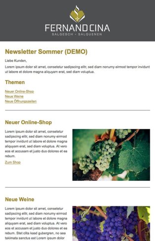 Referenzen Dodeley indual GmbH, Webentwicklung und Hosting, Brig