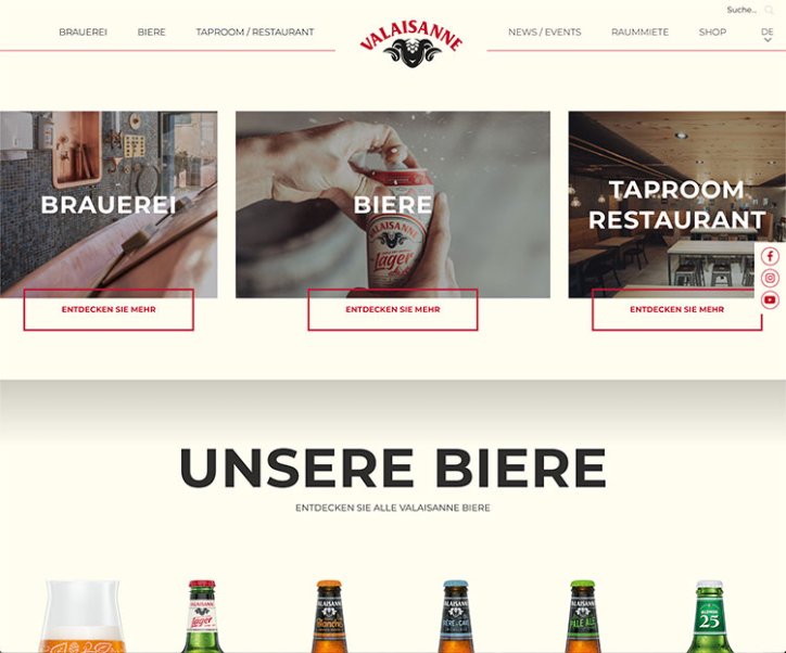 Webdesign und Entwicklung individueller Webseiten  - Professionelle Webagentur indual GmbH