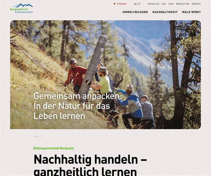 Webdesign und Entwicklung individueller Webseiten  - Professionelle Webagentur indual GmbH