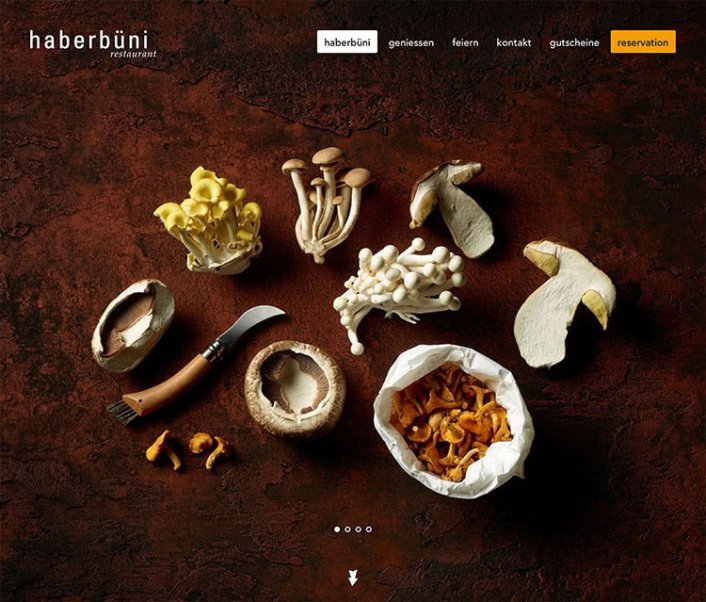 Webdesign und Entwicklung individueller Webseiten  - Professionelle Webagentur indual GmbH