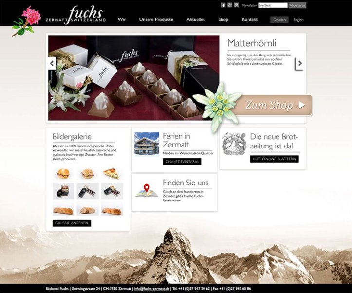 Webdesign und Entwicklung individueller Webseiten  - Professionelle Webagentur indual GmbH