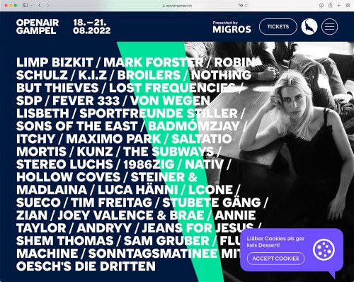 Referenz Webseite der indual GmbH, Webentwicklung und Hosting, Brig