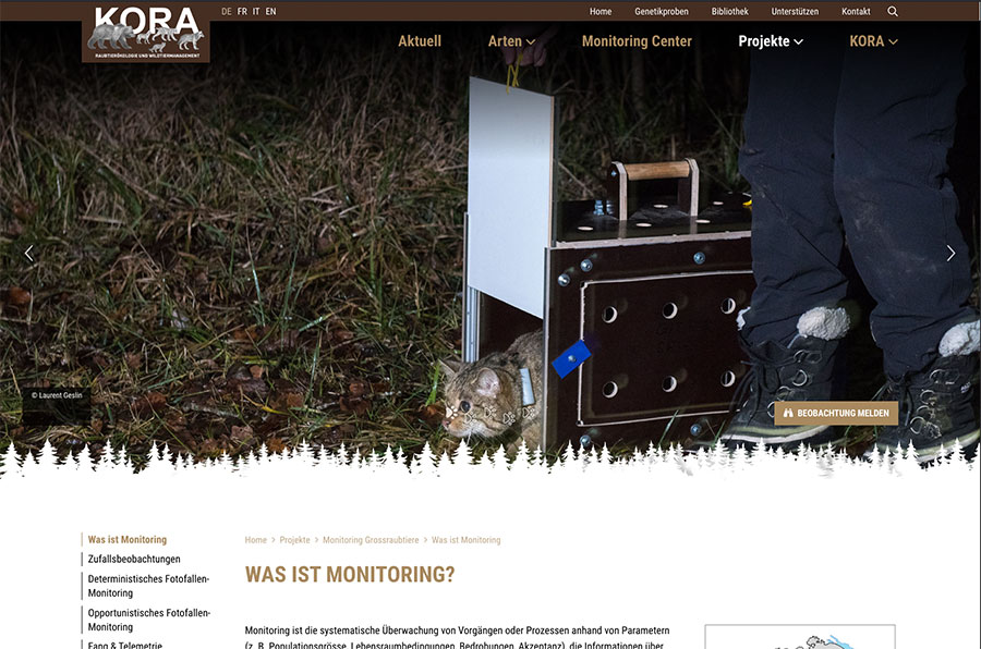 Kora Neuentwicklung mit unserem CMS indual GmbH